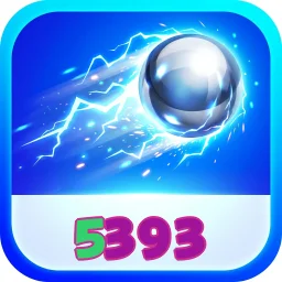 5393